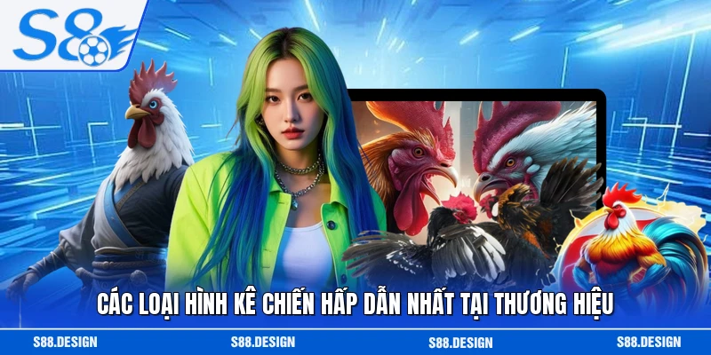 Các loại hình kê chiến hấp dẫn nhất tại thương hiệu