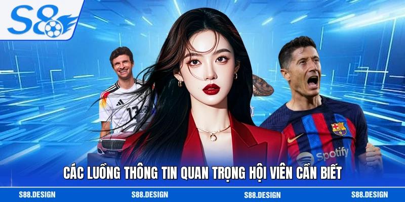 Các luồng thông tin quan trọng hội viên cần biết