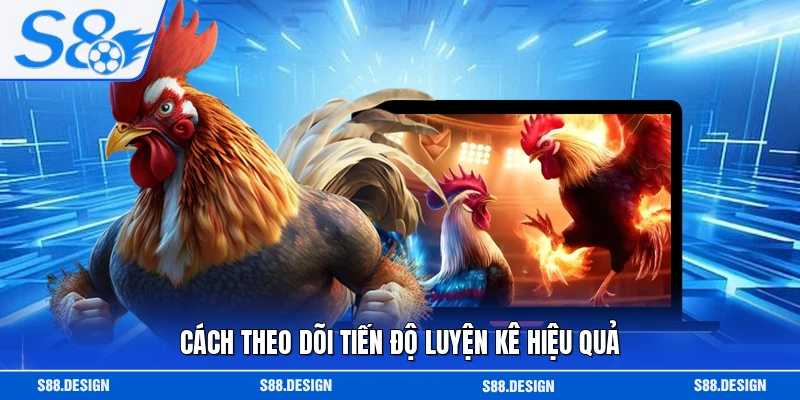 Cách theo dõi tiến độ luyện kê hiệu quả