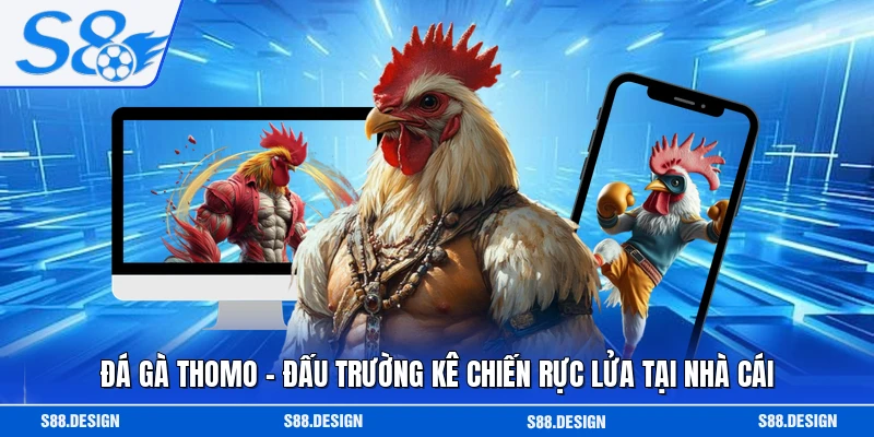 Đá Gà Thomo - Đấu Trường Kê Chiến Rực Lửa Tại Nhà Cái