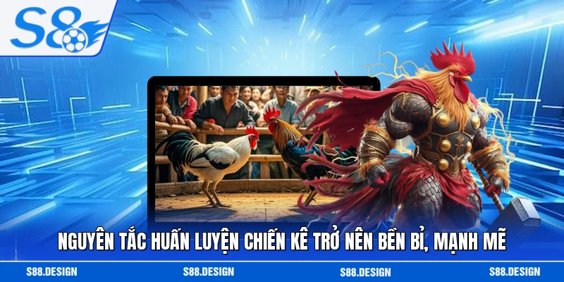 Nguyên tắc huấn luyện chiến kê trở nên bền bỉ, mạnh mẽ