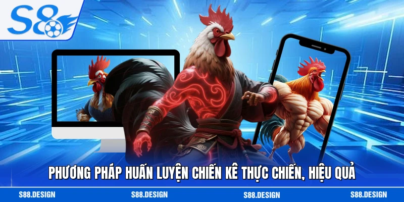 Phương pháp huấn luyện chiến kê thực chiến, hiệu quả
