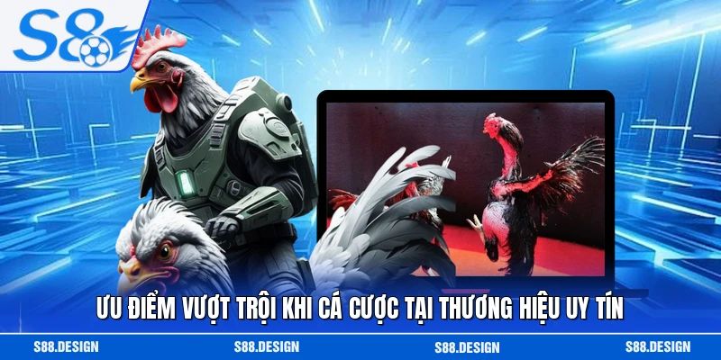 Ưu điểm vượt trội khi cá cược tại thương hiệu uy tín